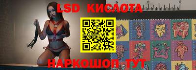 шишки Моздок