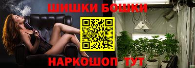 шишки Моздок