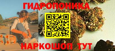 шишки Моздок
