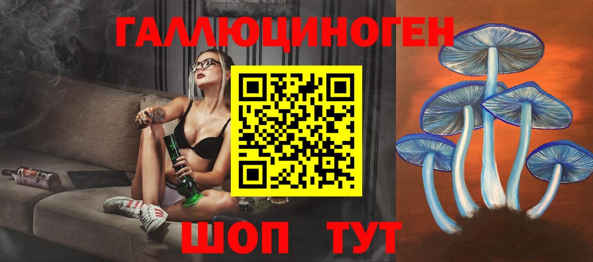 Черняховск  Галлюциногенные грибы GOLDEN TEACHER  продажа наркотиков  Вход с VPN 